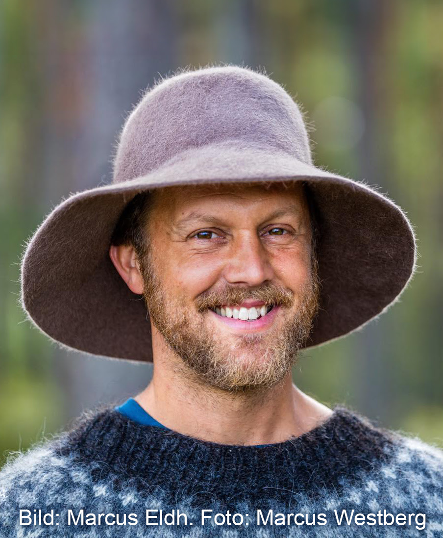 Marcus Eldh, WildSweden